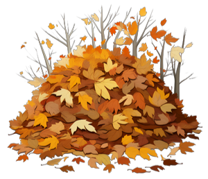 Graphic picture of fall colored loose leaves with bare branches sticking out.