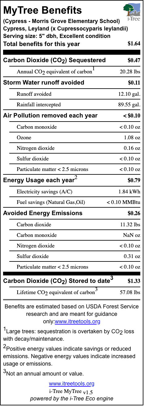 Cypress Morris Grove Elem